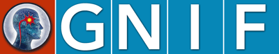 Global Neuroscience Initiative Foundation