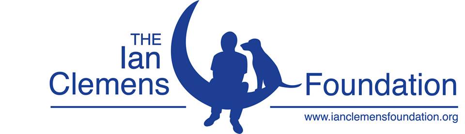 THE IAN CLEMENS FOUNDATION INC