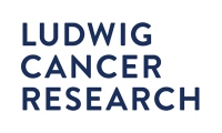 LICR FUND INC