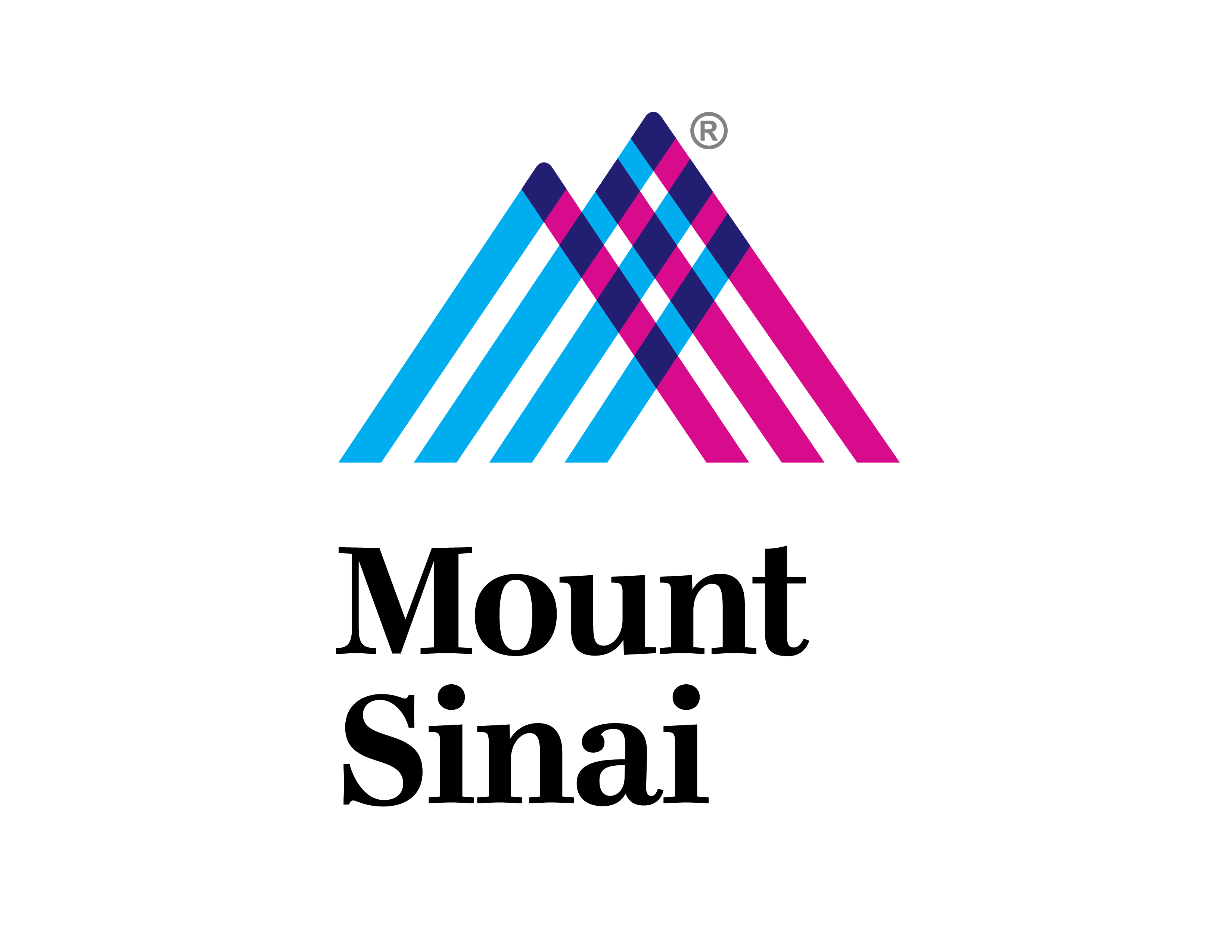 MOUNT SINAI MEDICAL CENTER INC