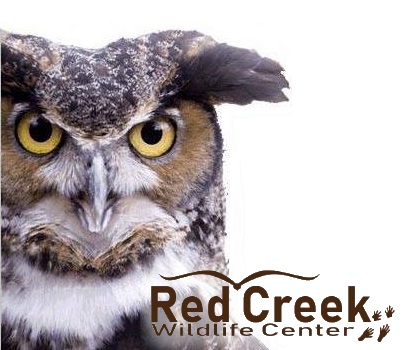 RED CREEK WILDLIFE CENTER INC