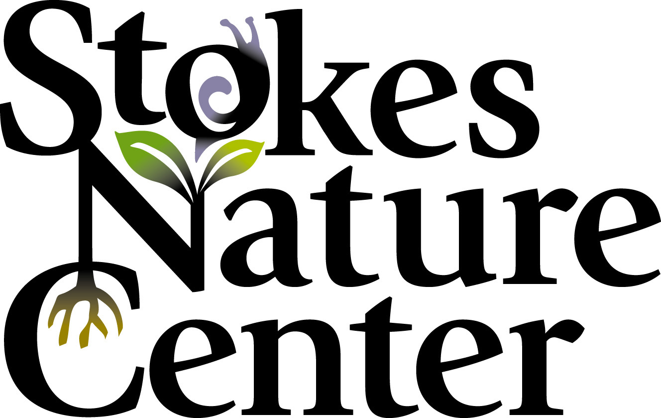 Stokes Nature Center