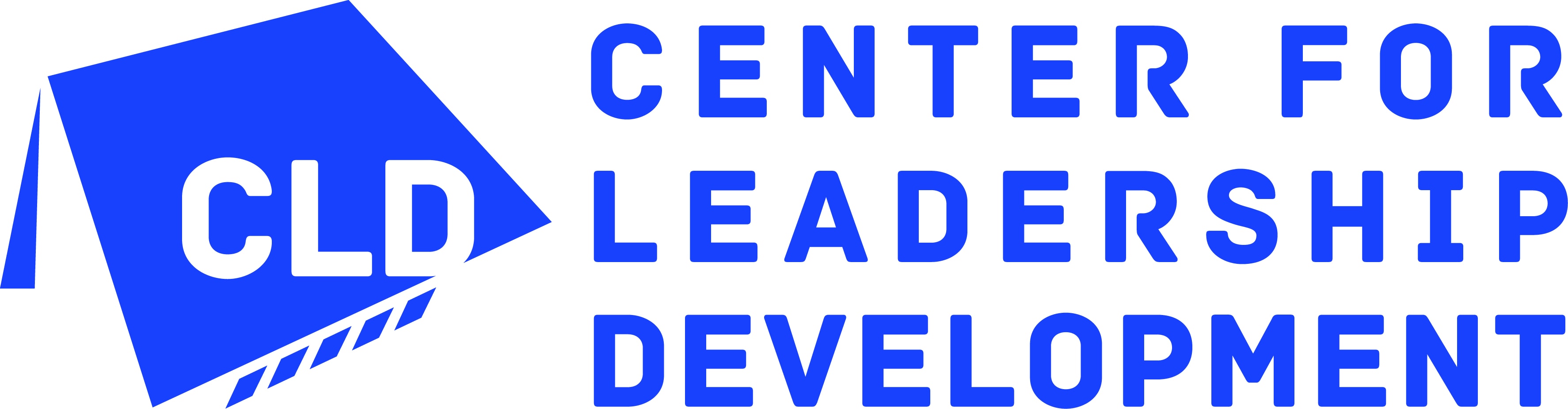 CENTER FOR LEADERSHIP DEVELOPMENT INC