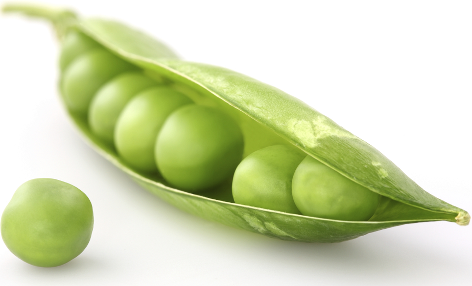 Plant-based Prevention Of Disease, Inc.