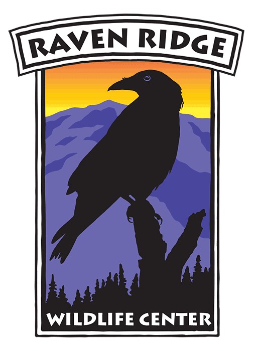 Raven Ridge Wildlife Center Inc.