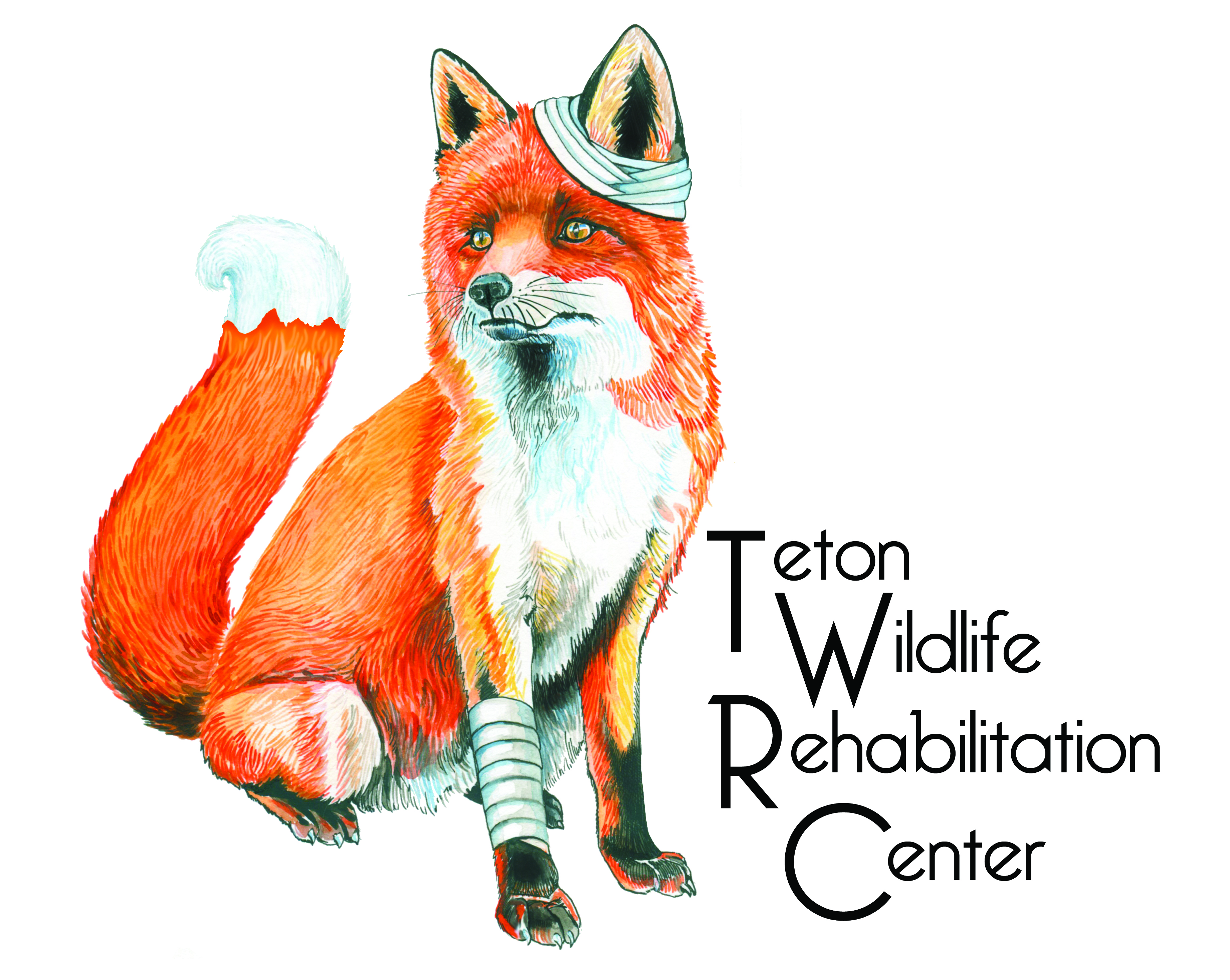 Teton Wildlife Rehabilitation Center