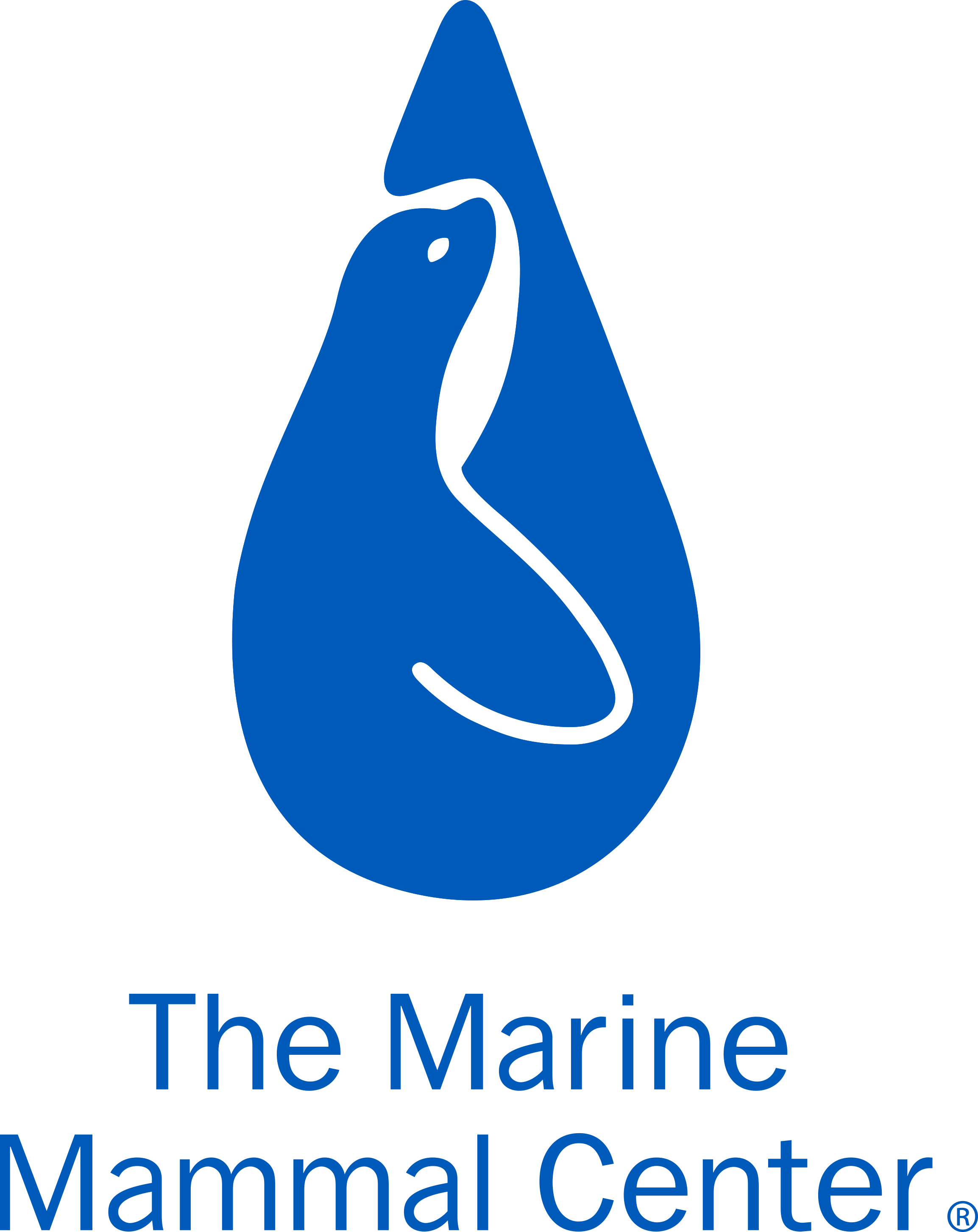 The Marine Mammal Center