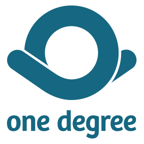THE CENTER TO PROMOTE HEALTHCARE ACCESS INC