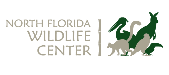 North Florida Wildlife Center