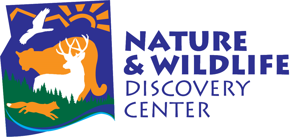 NATURE AND WILDLIFE DISCOVERY CENTER