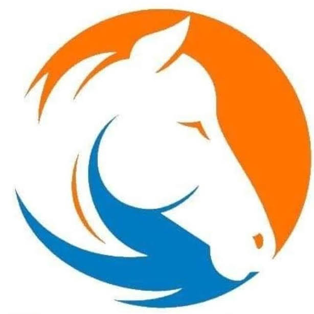 Dragon Stables Equine Center Inc
