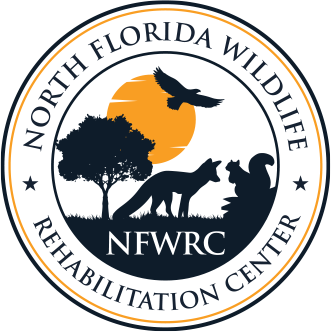 North Florida Wildlife Rehabilitation Center Inc